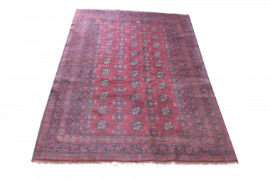 Afghan Filpa